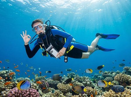 Водонепроницаемый чехол для телефона Aqualock, серый