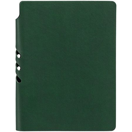 Ежедневник Flexpen Color, датированный, зеленый